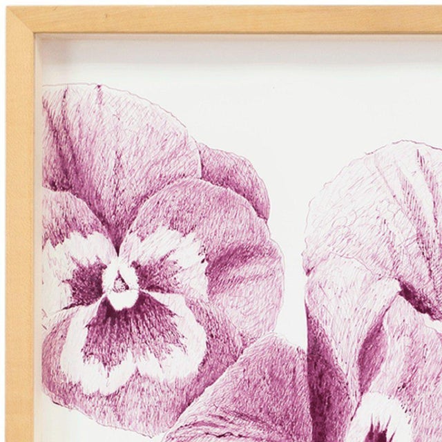 Contemporary Ken Aptekar, the Name of the Flower: Pansy “Joker Viola-Gold” For Sale - Image 3 of 4