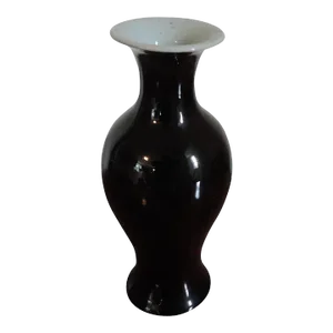 19th Century Chinese Mirror Black Porcelain Baluster Shaped Vase