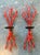 Vintage Coral Branch Wall Candle Sconces- A Pair For Sale - Image 10 of 12