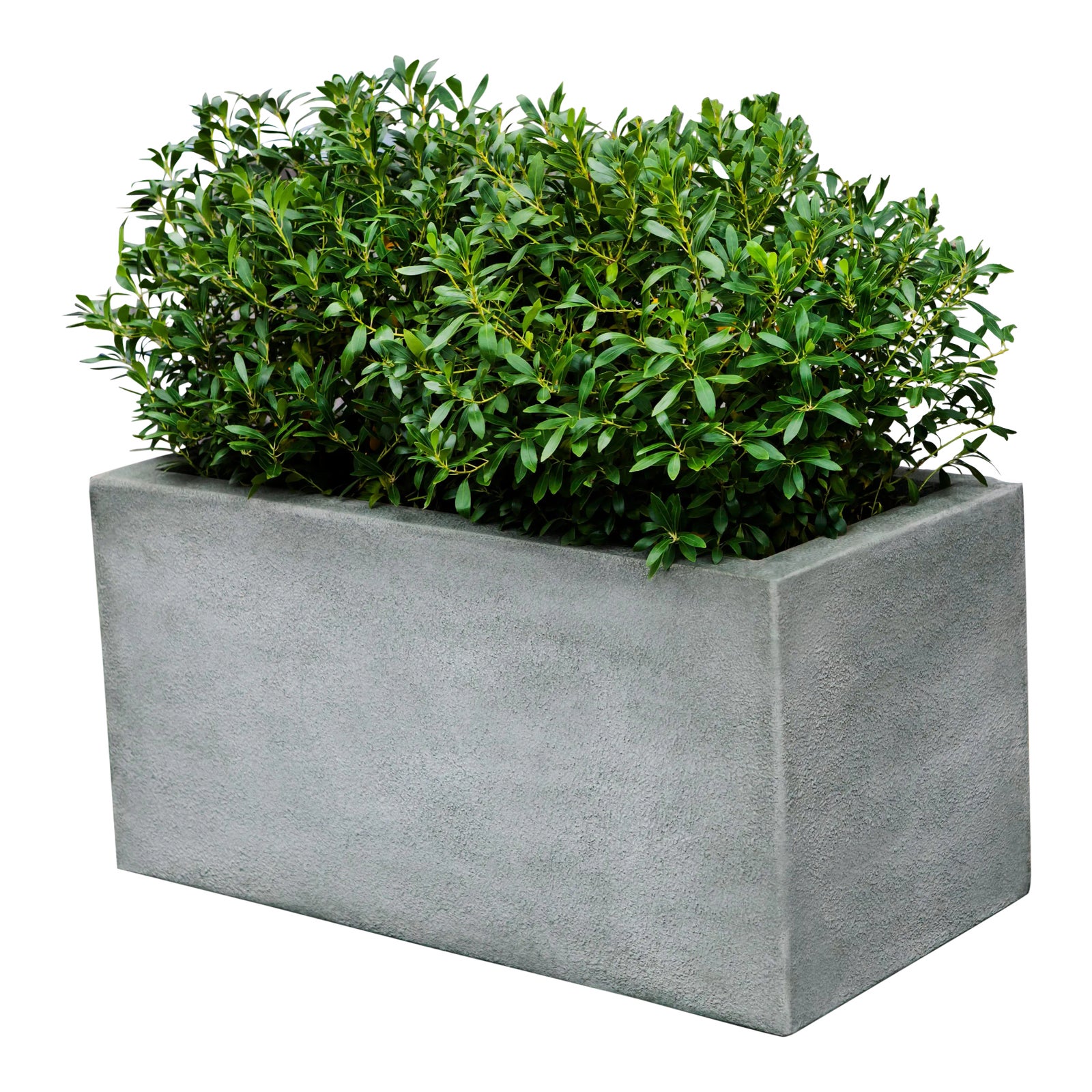 Metropolis Rectangle Planter 36x18x18 | Chairish