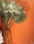 Textile Tropical Palm Beach 35” Ochre Pillows With Fringes For Sale - Image 7 of 8