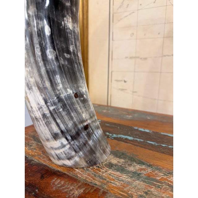 Safari Dramatic Dark Ankole Watusi Horn Pair – 28” Polished Ugandan Horns – Ralph Lauren Safari Style For Sale - Image 3 of 6