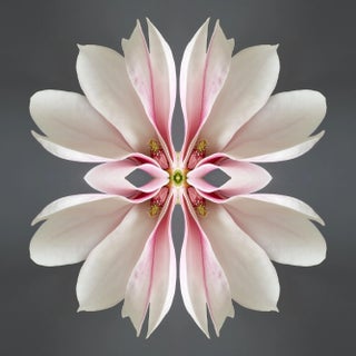 "No. 77" Contemporary Original Op Art Botanical Limited Edition Photograph Print by Erin Derby For Sale