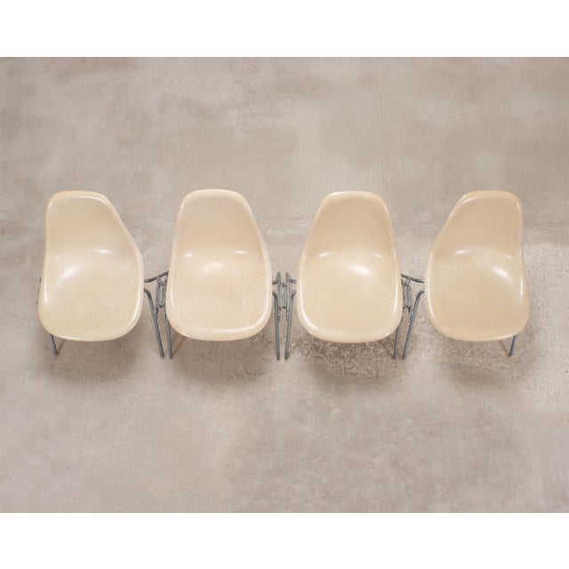 Mid-Century Modern Set of Four Herman Miller DSS Mid-Century Fiberglass Side Chairs For Sale - Image 3 of 18