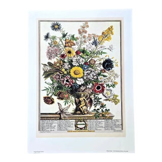 1980s Vintage Robert Furber November Botanical From "Twelve Months of Flowers” Pierpont Morgan Library Print For Sale