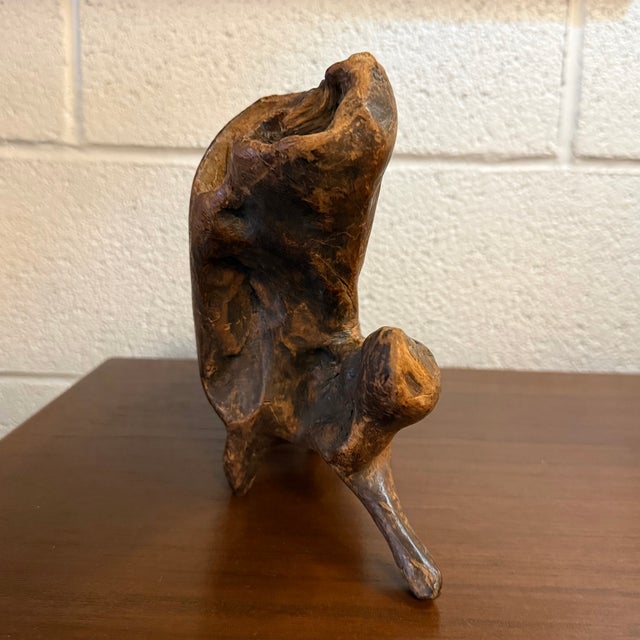 1970s Mid-Century Modern Abstract Root Wood Sculpture For Sale - Image 5 of 7