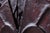 Wood Abstract Wall Panel from Gianni Pinna, 1970s For Sale - Image 7 of 11