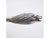 Metal Vintage Italian Sterling Silver 925 Lion Head Ruler Letter Opener by Ottaviani, 1980s For Sale - Image 7 of 11