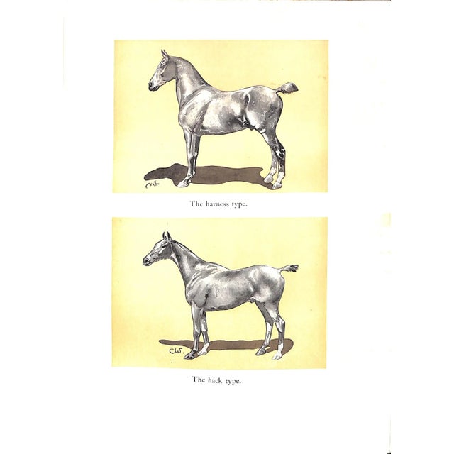 "Cross Country With Horse and Hound" 1902 Peer, Frank Sherman For Sale - Image 4 of 13