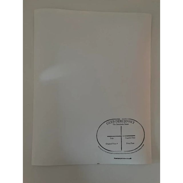 "Storm" Contemporary Landscape Color Photograph From the Estate of Gleb Derujinsky For Sale In Los Angeles - Image 6 of 7