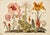 Paper Set of 4 Botanical Prints — Hortus Floridus Style Flowers, Unframed For Sale - Image 7 of 9