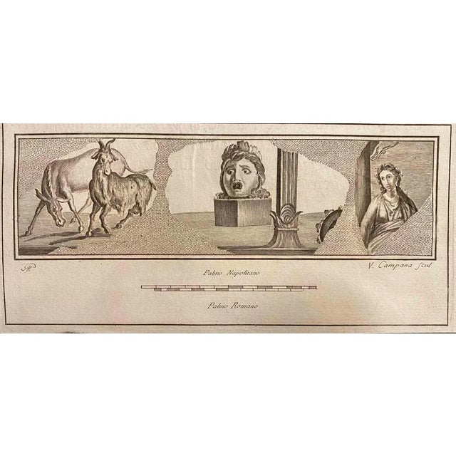 Pompeian Style Wall Fresco from "Antiquities of Herculaneum" is an etching on paper realized by Vincenzo Campana in the...