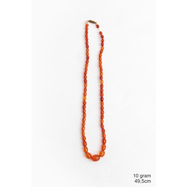 Vintage Amber Necklaces, 1960s, Set of 4 For Sale - Image 17 of 18