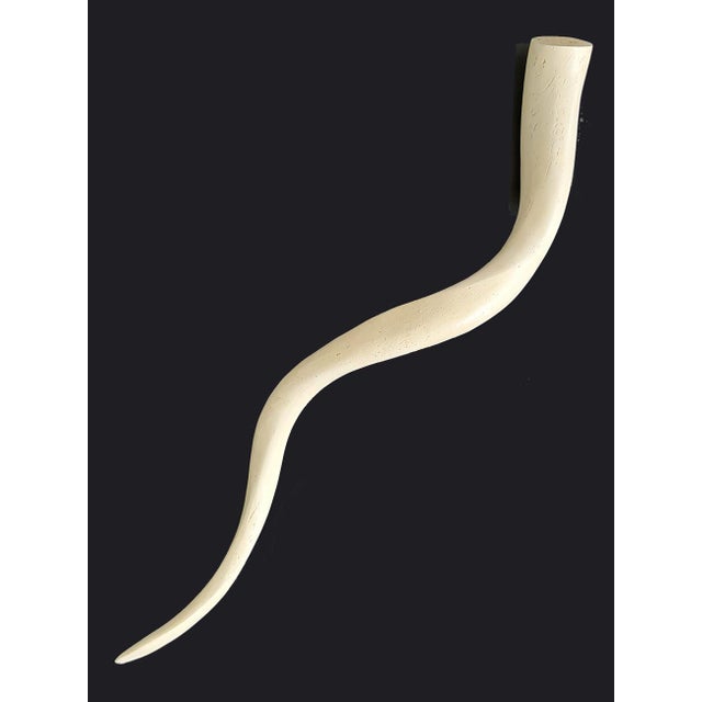 Vintage African Kudu Horn Antler For Sale - Image 9 of 10