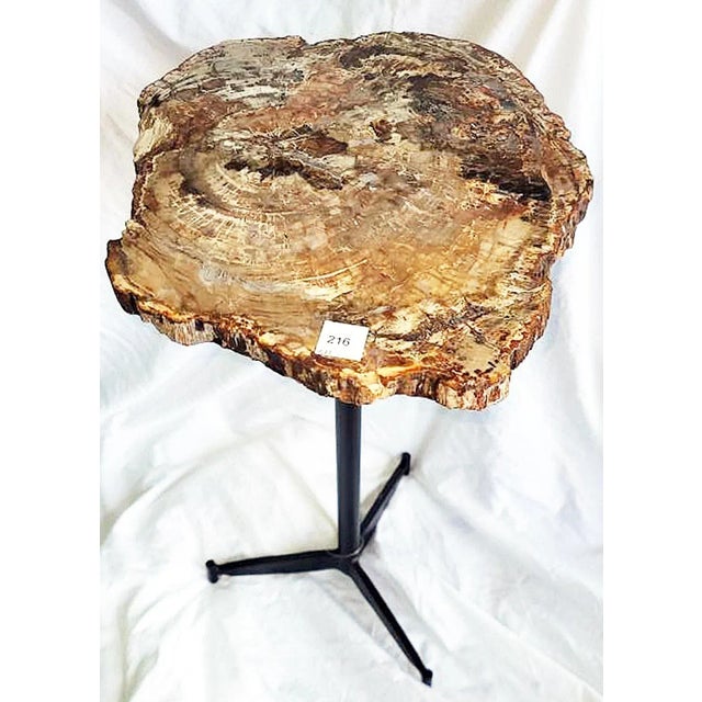Petrified Wood Side Table For Sale - Image 4 of 8