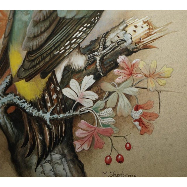 M Shermorne, Kingfisher, Ornithology Watercolour For Sale - Image 6 of 12