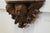 Antique Carved Wood Cherub Wall Bracket, 1850 For Sale - Image 6 of 9