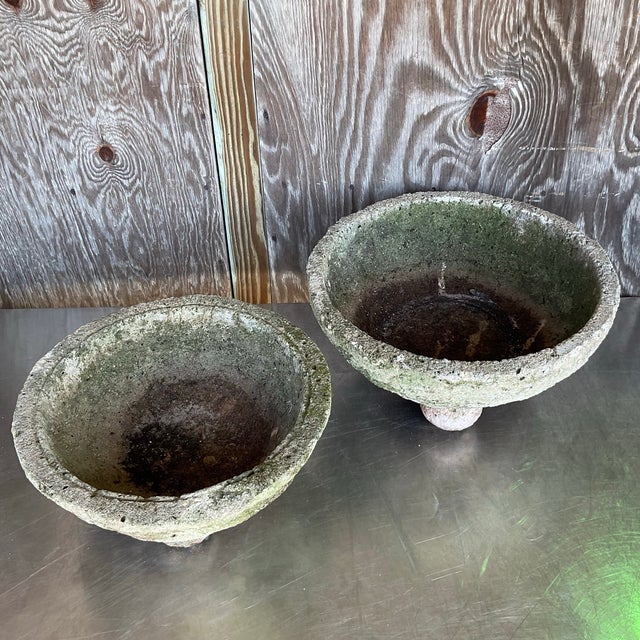 Gray Vintage Boho Cast Concrete Bowl Planters - Set of 2 For Sale - Image 8 of 12