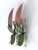 Mid-Century Floral Sconces by Holländer Leuchten, Germany, 1970s, Set of 2 For Sale - Image 17 of 18