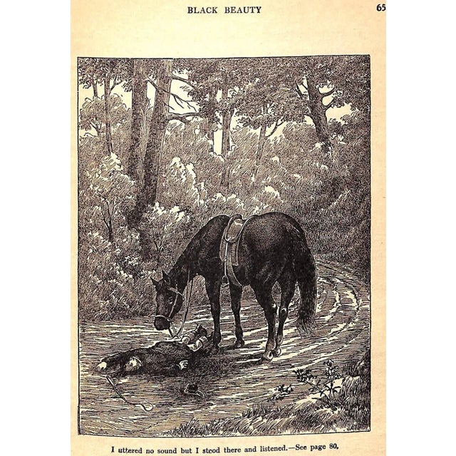 "Black Beauty: The Autobiography of a Horse" 1929 Sewell, Anna For Sale - Image 11 of 13