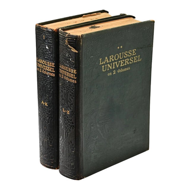 French Leather Bound Set of Encyclopedic Dictionaries - Set of 2 For Sale