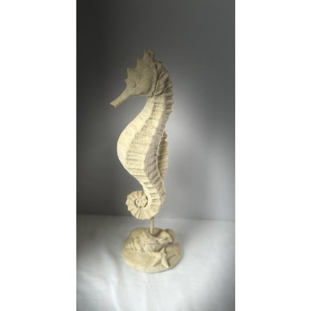 Sand Large Coastal Sand-Textured Seahorse Sculpture on Shell Base, Nautical Beach House Decor, 14” For Sale - Image 8 of 8