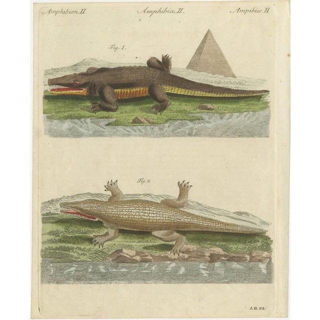 Bertuch, Crocodiles with an Egyptian Pyramid, 1805, Print For Sale - Image 3 of 12