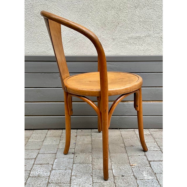 1920s Early 20th Century Bentwood Armchair from Fischel, 1920s For Sale - Image 5 of 10