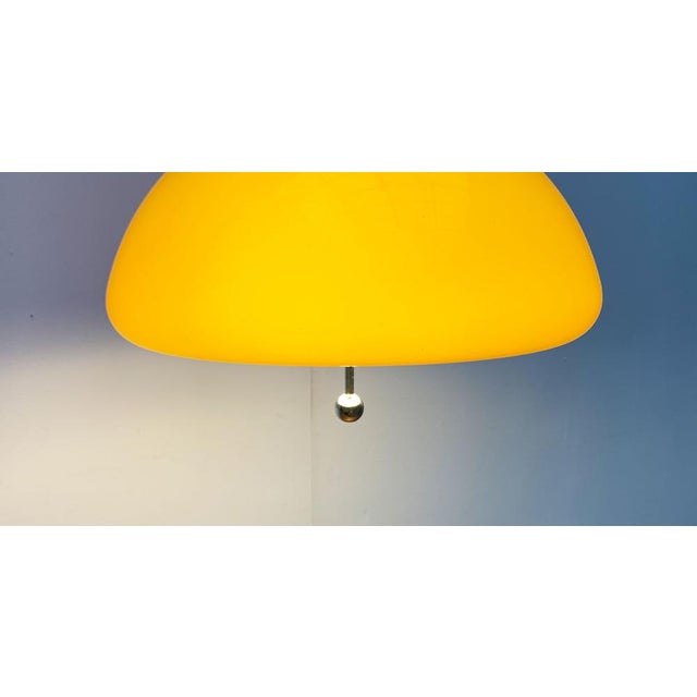 Mid-Century Space Age Cabras Pendant Lamp by Luigi Massoni for Guzzini, 1960s For Sale - Image 16 of 18