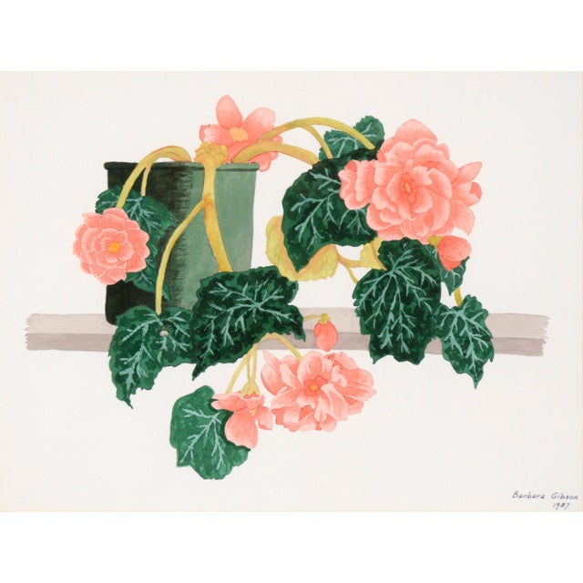 Watercolor of pink begonias by Barbara Gibson (20th Century). A large tuberous begonia is potted in a green pot. There are...