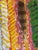 Wood Original Hilary Inglis "Birds of a Feather" Painting — Piece I of III For Sale - Image 7 of 9