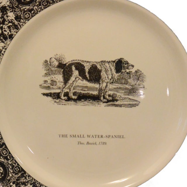 1960s Complete Set of 5 Prinknash Abbey "Bewick's Houndes" Dog Plates For Sale - Image 5 of 7