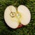 Gold Vintage 18k Gold Elsa Peretti Small Apple Necklace for Tiffany & Co. For Sale - Image 8 of 9
