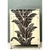 Hollywood Regency Vintage Banana Leaf Hand Painted Cabinet For Sale - Image 3 of 14