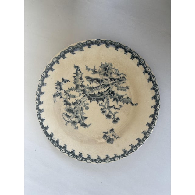 Vintage Dessert Plates with Chardon Pattern from Gien, 1940s, Set of 6 For Sale - Image 9 of 10