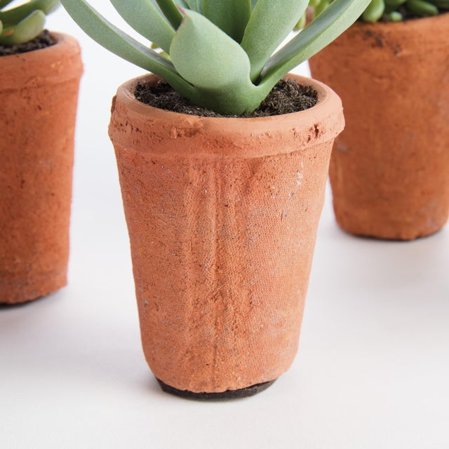 Potted Succulents 8.5", Set Of 6 For Sale - Image 9 of 9