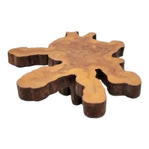 Vintage Single Slab Live Edge Natural Free-Form Tree Cut Coffee Table
