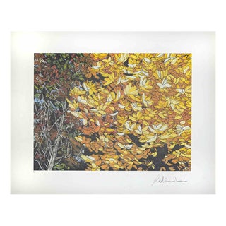 Rolandi Maurizio Coccia, Landscapes of Autumn, 1980s, Screen Print For Sale