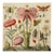 Insects and Flowers – Natural History Fine Art Print For Sale