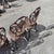 Cast Iron Patio Garden Table and Chairs, Set of 5 For Sale - Image 11 of 18