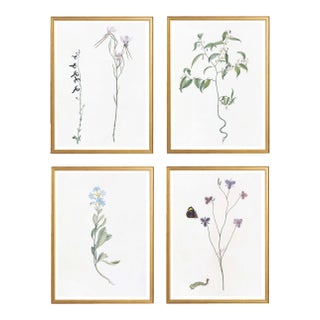 Celerie Kemble Curated Australian Botanical Set of 4 (24X30) in Gold Frame For Sale