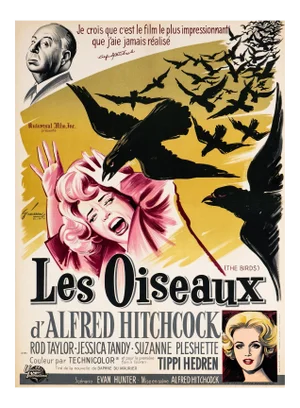 The Birds Original Vintage Movie Poster by Boris Grinsson, French, 1963