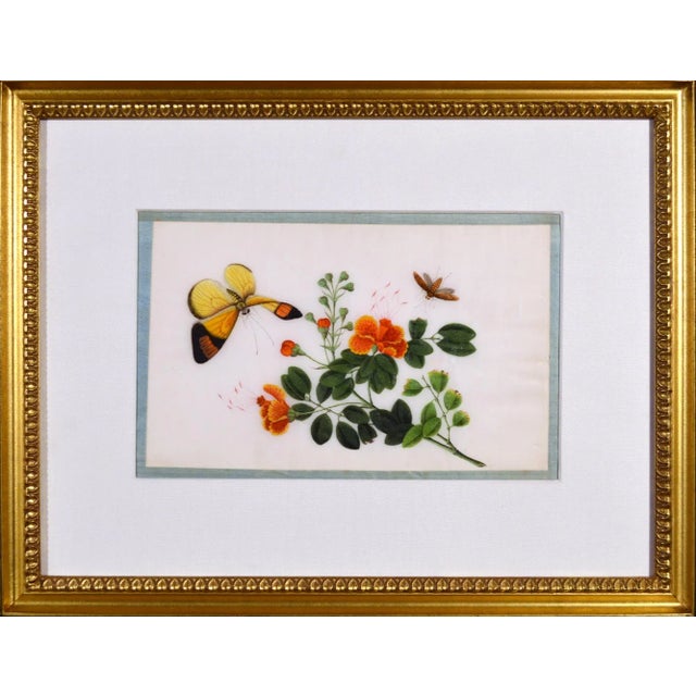 China Trade Framed Pith Pictures of Butterflies and Plants For Sale - Image 10 of 10