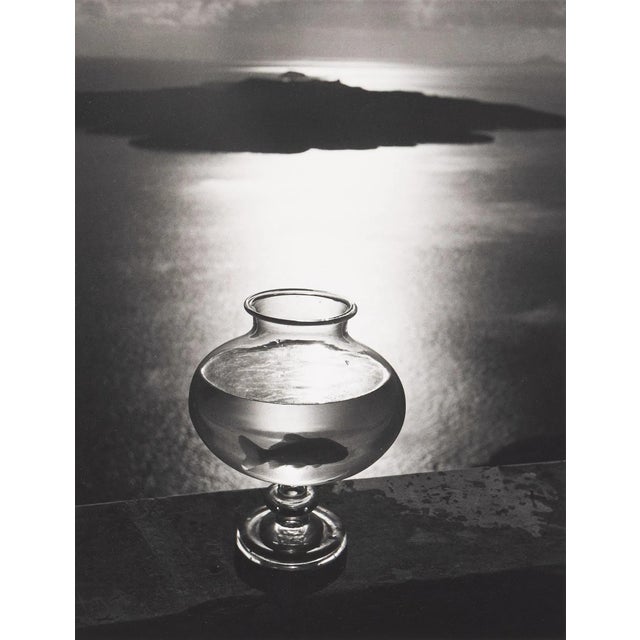 Complete Herbert List Editioned Portfolio Zeitlupe For Sale - Image 14 of 17