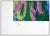 1970s 1970s Kenya Leopard, LeRoy Neiman For Sale - Image 5 of 6