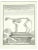Louis Legrand, Skeleton, Etching, 1771 For Sale