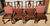 Late 20th Century Late 20th Century 4 Henredon Carved Oak and Cane Dining Chairs For Sale - Image 5 of 9