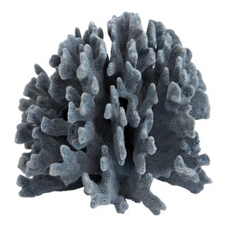 Natural Blue Coral Specimen Coastal Decor For Sale