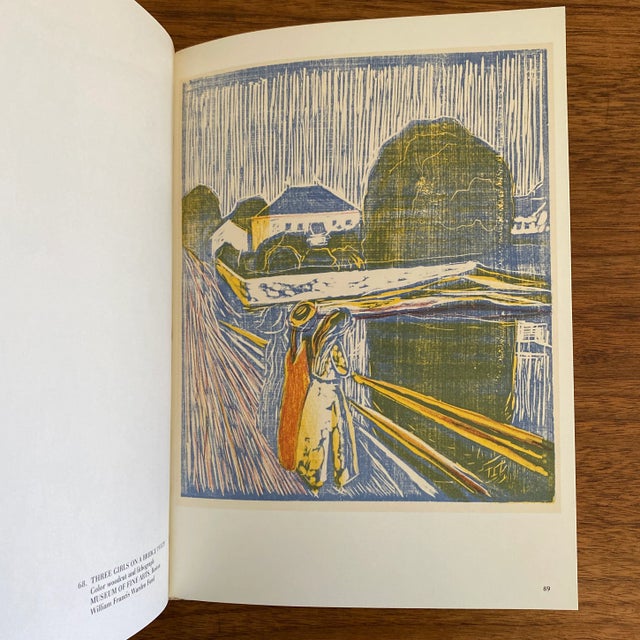 Gray Vintage Paperback Book of Edvard Munch Lithographs Etchings Woodcuts For Sale - Image 8 of 11