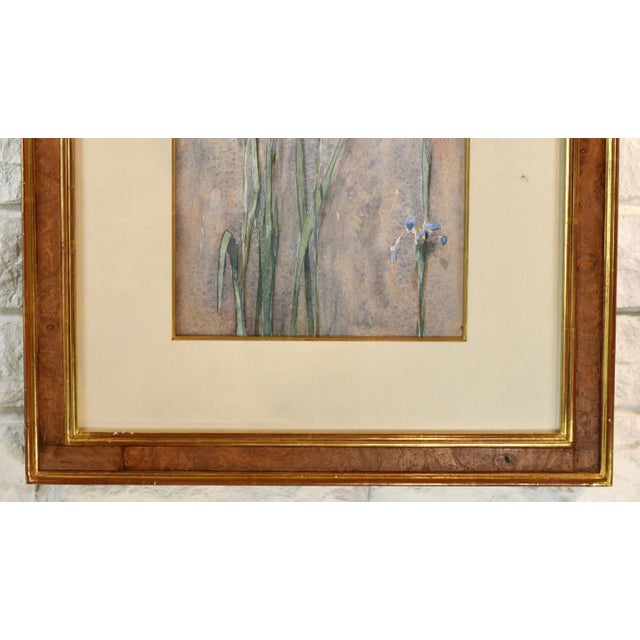 Original Vintage Thomas Daly Iris Flower Watercolor Painting For Sale - Image 4 of 13